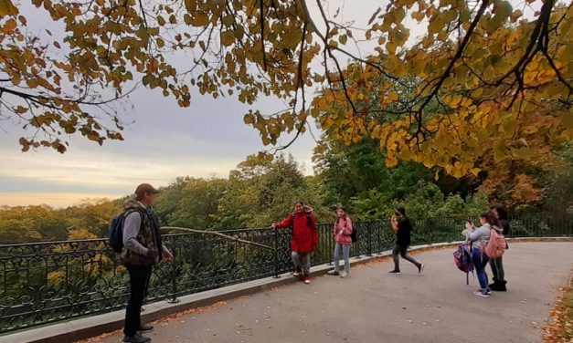 Herbstwanderung am Cobenzl